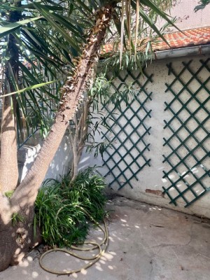 Location APPARTEMENT T2/3 13008 - MARSEILLE 08 , Quartier Saint Anne - boulevard Luce ,Cour, garage, climatisation réversible ...