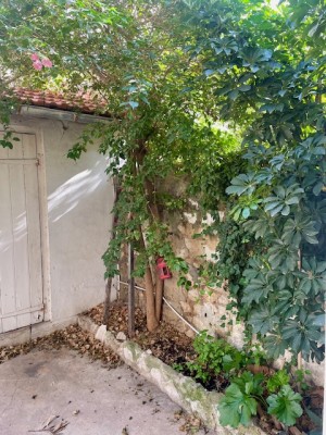 Location APPARTEMENT T2/3 13008 - MARSEILLE 08 , Quartier Saint Anne - boulevard Luce ,Cour, garage, climatisation réversible ...