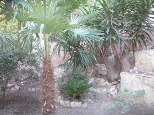 Vente Appartement T3 - MARSEILLE 13006  - QUARTIER VAUBAN  - RDJ, JARDIN, CAVE